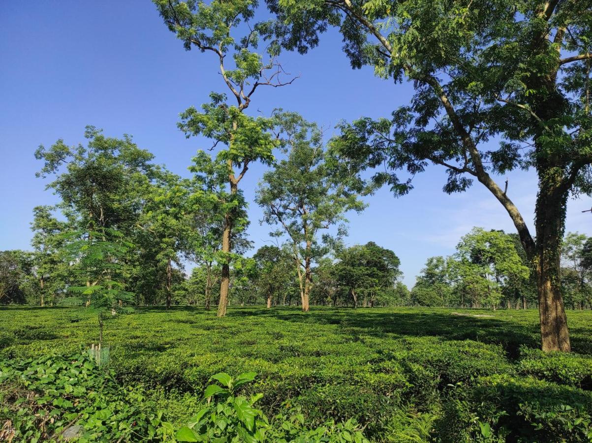 Manas Green Home Stay Jyoti Gaon Ngoại thất bức ảnh